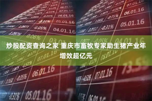 炒股配资查询之家 重庆市畜牧专家助生猪产业年增效超亿元